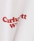 CARHARTT WIP / カーハート ダブリューアイピー S/S SPOILED T-SHIRT