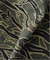 YESEYESEE / イエスアイシー C-Logo Wide shorts
