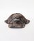OBEY / オベイ SAHARA 6 PANEL TRAIL CAP