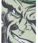 VARIEGATOR / ヴァリゲイター Hulk /Tee