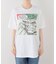 VARIEGATOR / ヴァリゲイター Hulk /Tee