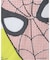 VARIEGATOR / ヴァリゲイター Spider Man /Tee