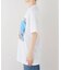 VARIEGATOR / ヴァリゲイター Spider Man /Tee