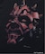 VARIEGATOR / ヴァリゲイター Darth Maul #2 /Tee