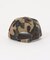 SupBaby by SUPPLIER Jewel Studs Logo 6 Panel Cap