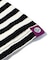 SAGE / セイジ Crayon box ”being sage” Striped S/S