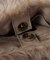 anna sui nyc / アナスイエヌワイシー フォーファービッグバッグ