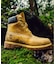 Timberland / ティンバーランド 6in Premium Boots WP