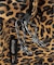 452T LARGE ex LEOPARD