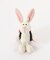 BB ラビット ペッシュ10cm+リュック ピンク