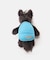 BB オオカミ 10cm+リュック ブルー