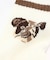 DOG RS448