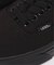 VANS Authentic COLOR THEORY