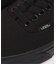 VANS Authentic COLOR THEORY