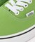 VANS Authentic COLOR THEORY