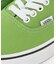 VANS Authentic COLOR THEORY