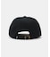 SANDLOT NEW YORK BLACK YANKEES