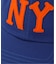 SANDLOT NEW YORK BLACK YANKEES