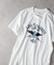 リーバイス ＧＲＡＰＨＩＣ　ＴＥＥ