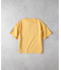 ベンデイビス カレッジロゴＴシャツ