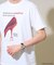 プラダヲキタアクマプリントＴシャツ