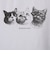 猫フォトＴシャツ
