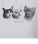 猫フォトＴシャツ