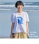 マティスアートベーシックＴシャツ　(66100)