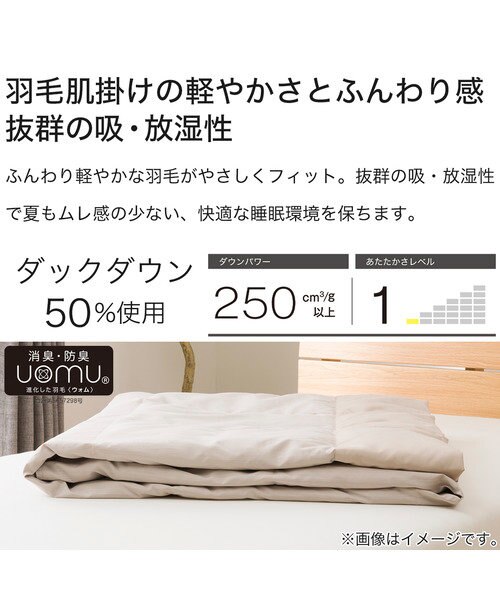 洗えるダウンケット シングル(K2401 BE S)｜デコホームの通販｜&mall