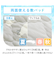 【デコホーム商品】両面使える 敷パッド シングル(Nクール S2503 ベア)