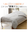 カバーなしでも使える肌掛け布団 シングル(K2508 S)