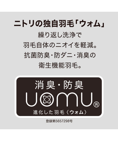 羽毛掛ふとん スタンダード シングル(UL K2521 S)｜デコホームの通販