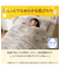 2枚合わせ 毛布 シングル(Nウォーム シマエナガ A25）
