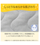 両面使える すっぽり ピローパッド(Nウォーム グレー A25)