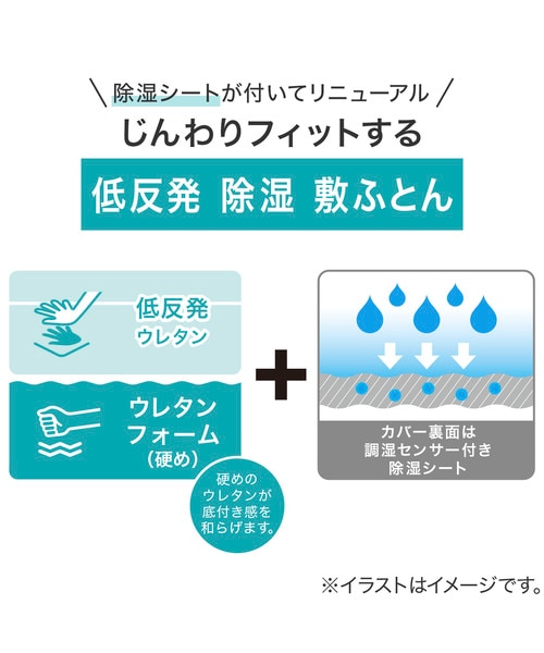 じんわりフィットする低反発除湿敷布団 シングル(F2504)｜デコホームの