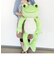 ベーシックピクルス ぬいぐるみ 2L  Pickles the frog