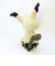 ミミッキュ ぬいぐるみ S ポケットモンスター (ポケモン)