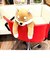 リラワーク ねむねむアニマルズ 背中ツボ押しクッション コタロウ マッサージ ぬいぐるみ クッション 