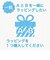 ミッフィー miffy DB/MF 木のしおり（ボリス） ブックマーク     日本製