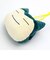 ポケットモンスター カビゴン プラがまぐち ポーチ ポシェット ぬいぐるみ グリーン