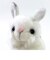 りくのなかまたち アニマル 動物 雪うさぎマスコット ぬいぐるみ 白 吉徳 かわいい モフモフ