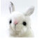 りくのなかまたち アニマル 動物 雪うさぎマスコット ぬいぐるみ 白 吉徳 かわいい モフモフ