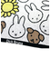 ミッフィー Miffy ミニタオル フレンズフェイス 今治 ホワイト  日本製