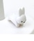 ミッフィー Dick Bruna うさぎ ミニうがいコップ＆スタンド 水切りミニサイズ