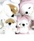 プレミアムねむねむアニマルズ ウサギコタロウ フードお座り抱きまくら Mサイズ 干支 ぬいぐるみ ホワイト