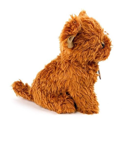 ハーフ犬 チワプー (チワワ×トイプードル） ぬいぐるみ