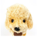   トイプードル S クリーム 立ち ぬいぐるみ グレイフル インテリア用品 4905330014634 　 クリーム  日本製