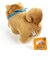 忠犬もちしば ぬいぐるみ S もなか インテリア マスコット イヌ