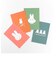 ミッフィー miffy ポストカード（star） GREEN FLASH