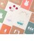 ミッフィー miffy ポストカード（star） GREEN FLASH